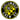 Crew SC